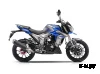 Мотоцикл Regulmoto T-Leopard 300