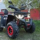 Квадроцикл PROMAX WILD 300 LUX