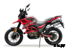 Мотоцикл FUEGO Tekken 250 3.0 PRO-SPORT