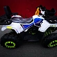 Квадроцикл PROMAX WILD 300 LUX