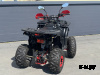 Квадроцикл PROMAX WILD 2.0 190 LUX Красный