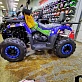 Квадроцикл PROMAX WILD 300 LUX