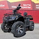 Квадроцикл PROMAX TRX300 CVT