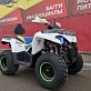 Квадроцикл PROMAX RENEGADE 300 LUX