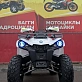 Квадроцикл PROMAX RENEGADE 300 LUX
