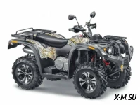 Квадроцикл STELS  ATV 650 YS EFI LEOPARD