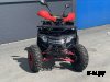 Квадроцикл PROMAX WILD 2.0 190 LUX Красный