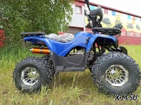 КВАДРОЦИКЛ PROMAX WILD 180 PRO