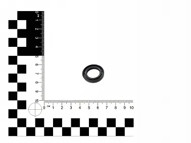 Сальники Прогрессии M2/M4/M8  73300010