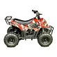 Квадроцикл MZ Grizzly 110